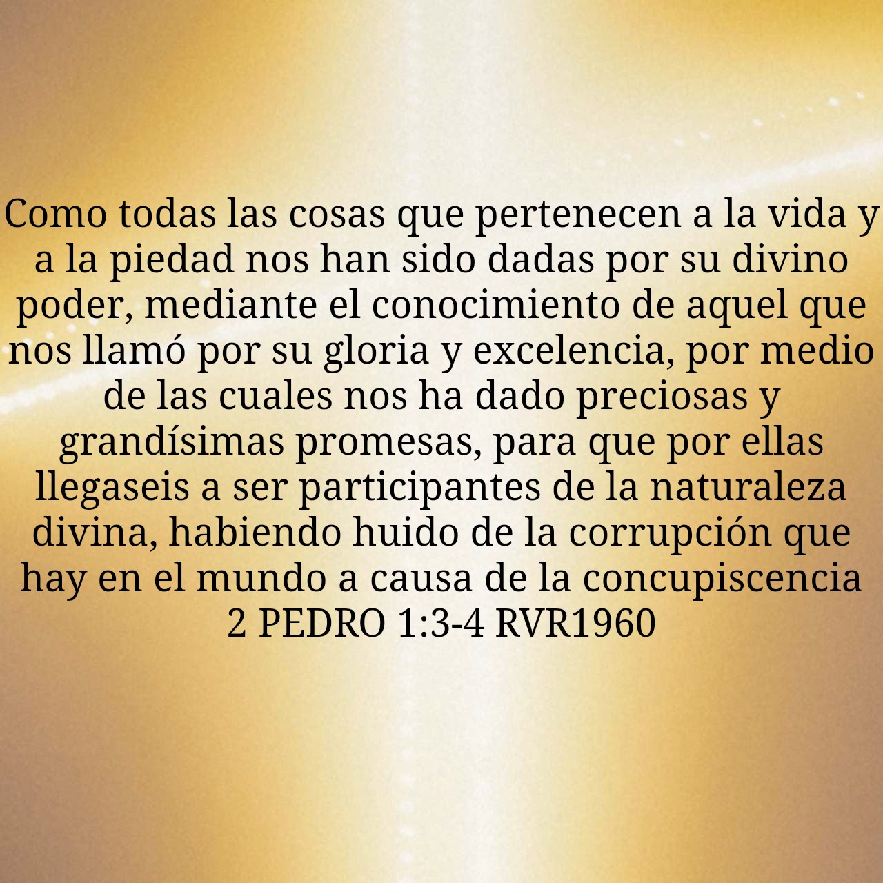 2 Pedro 1:3-4.jpg