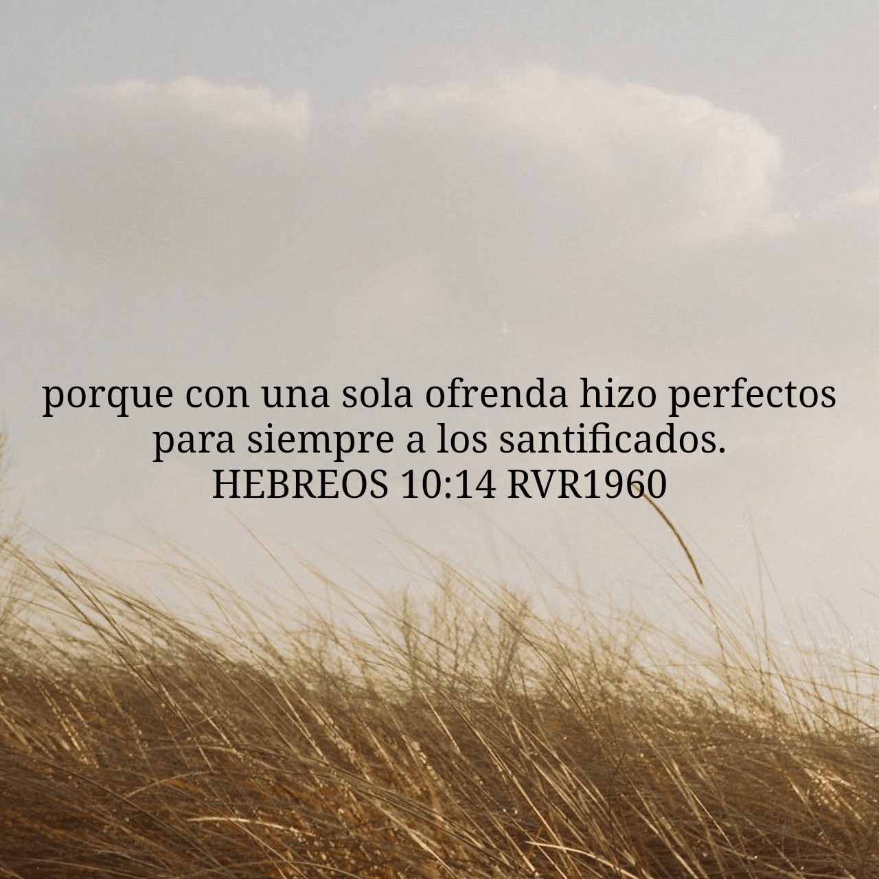 Hebreos 10:14.jpg