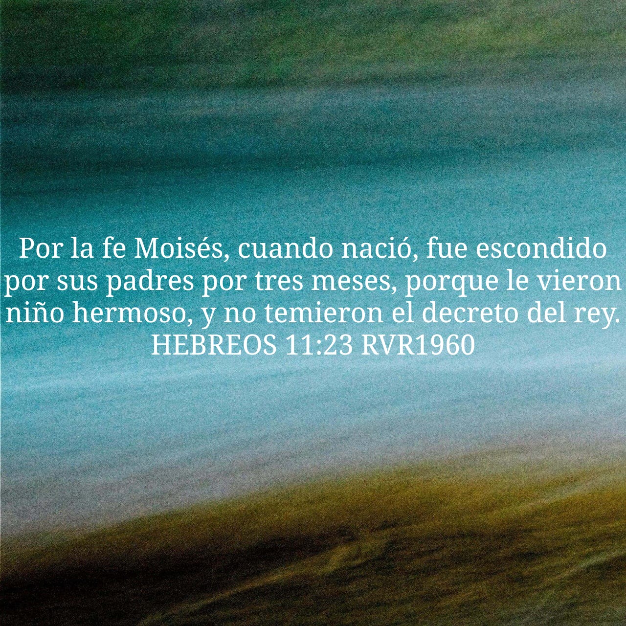 Hebrews 11:23.jpg
