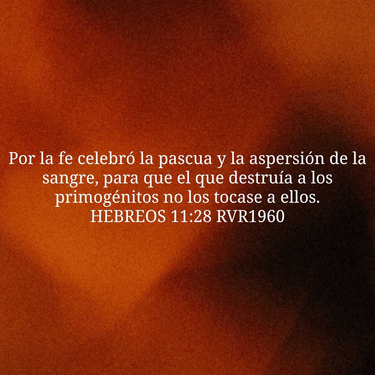 Hebrews 11:28.jpg