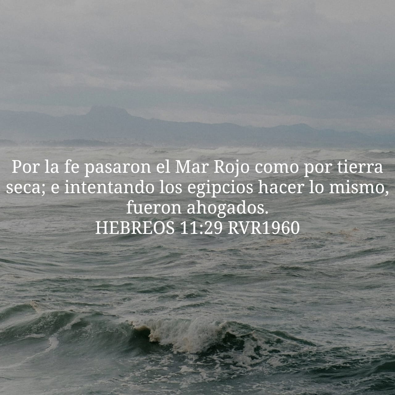 Hebrews 11:29.jpg