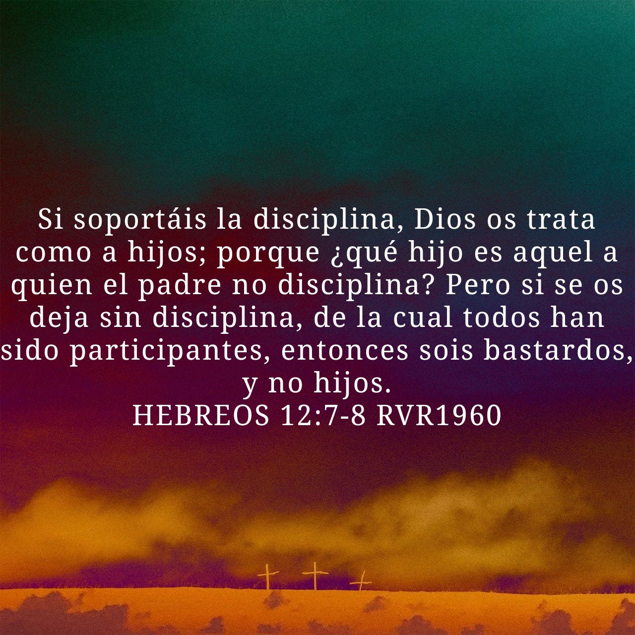 Hebrews 12_7-8.jpg