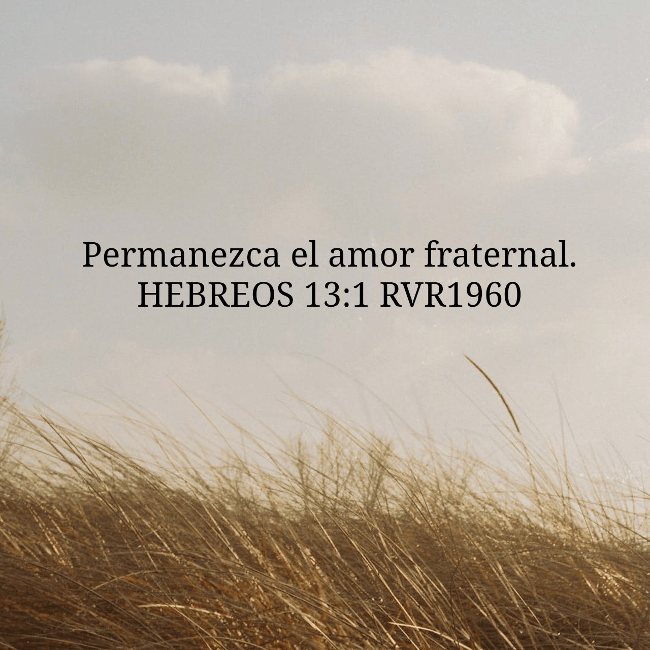 Hebrews 13:1.jpg