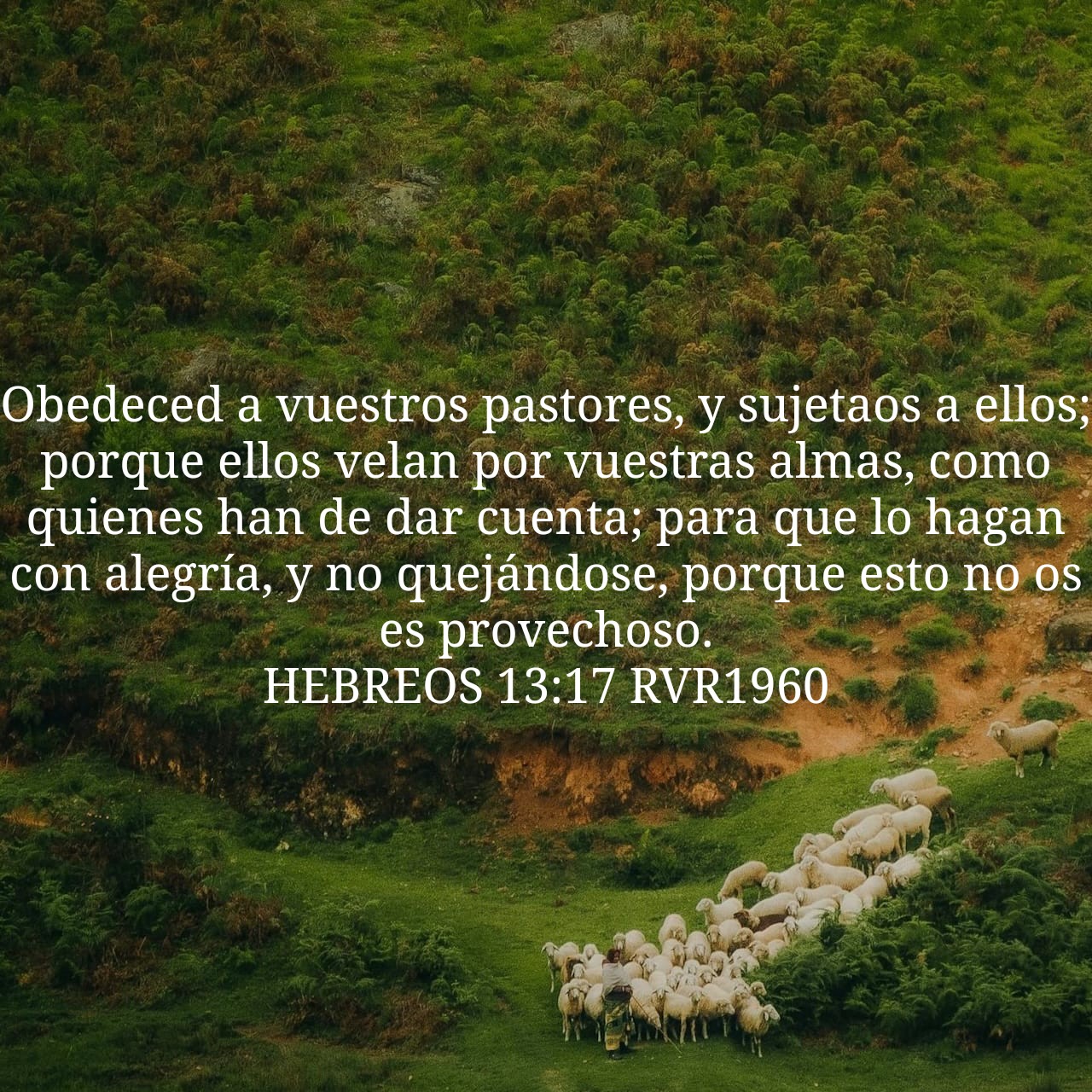 Hebrews 13:17.jpg