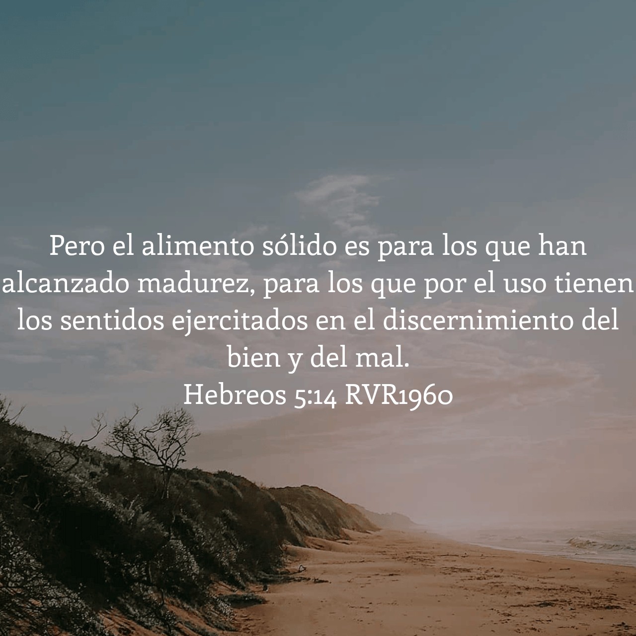 Hebreos 5:14.jpg