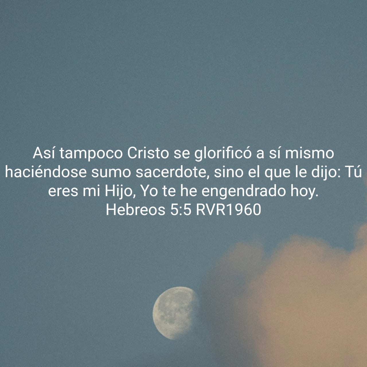 Hebreos 5:5.jpg