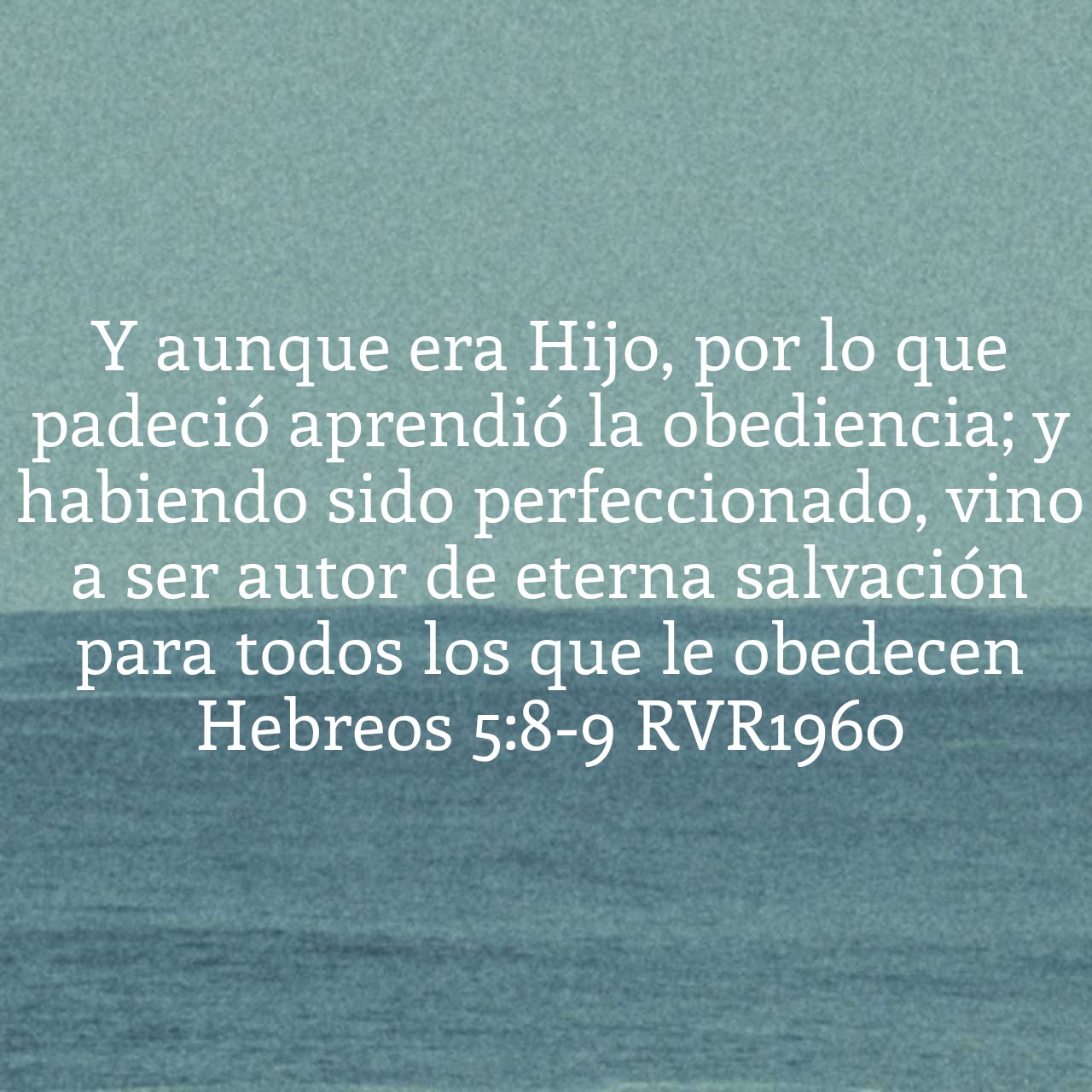 Hebreos 5:8-9.jpg