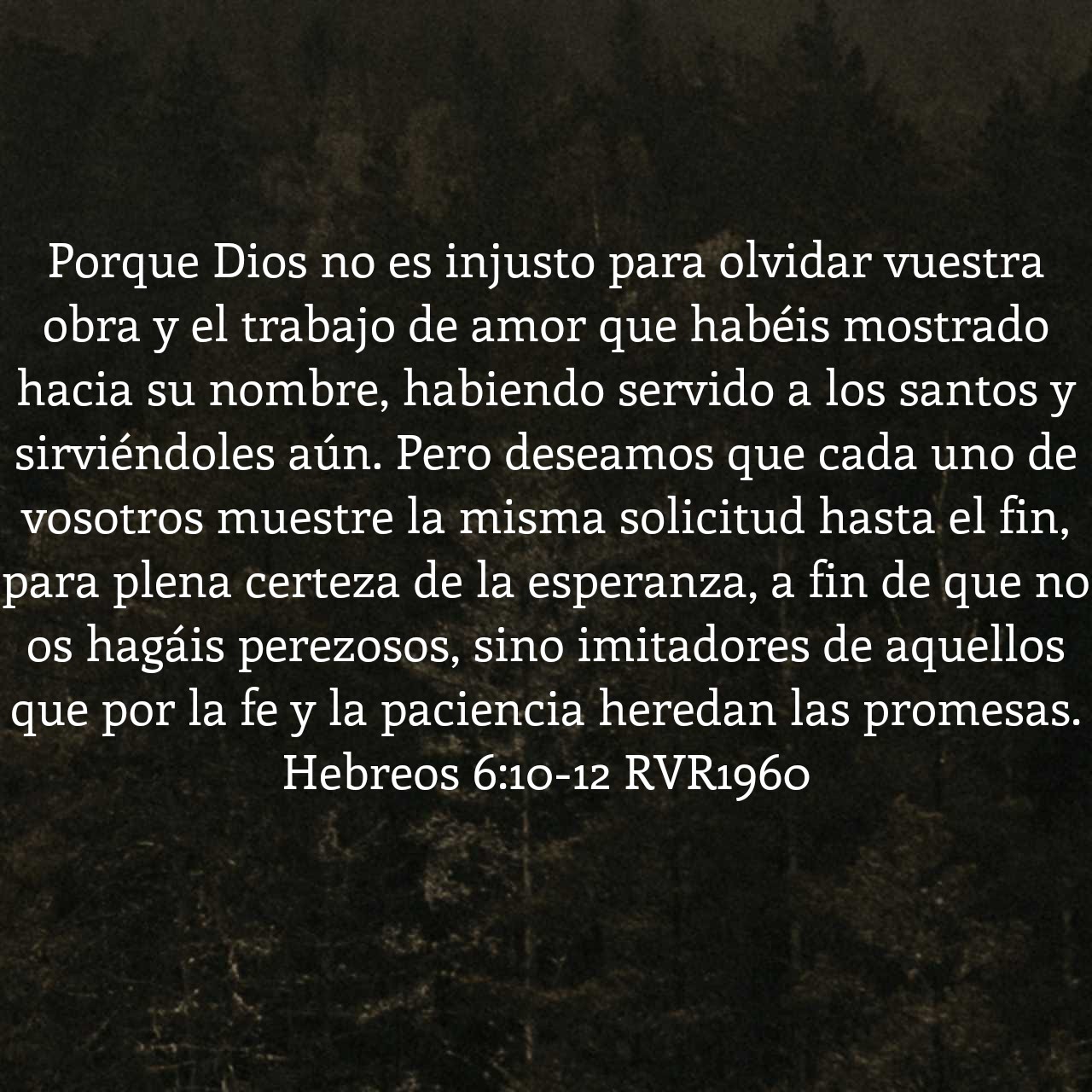 Hebreos 6:10-12.jpg