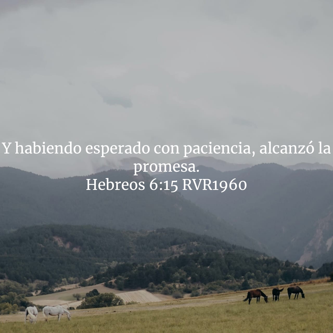 Hebreos 6:15.jpg
