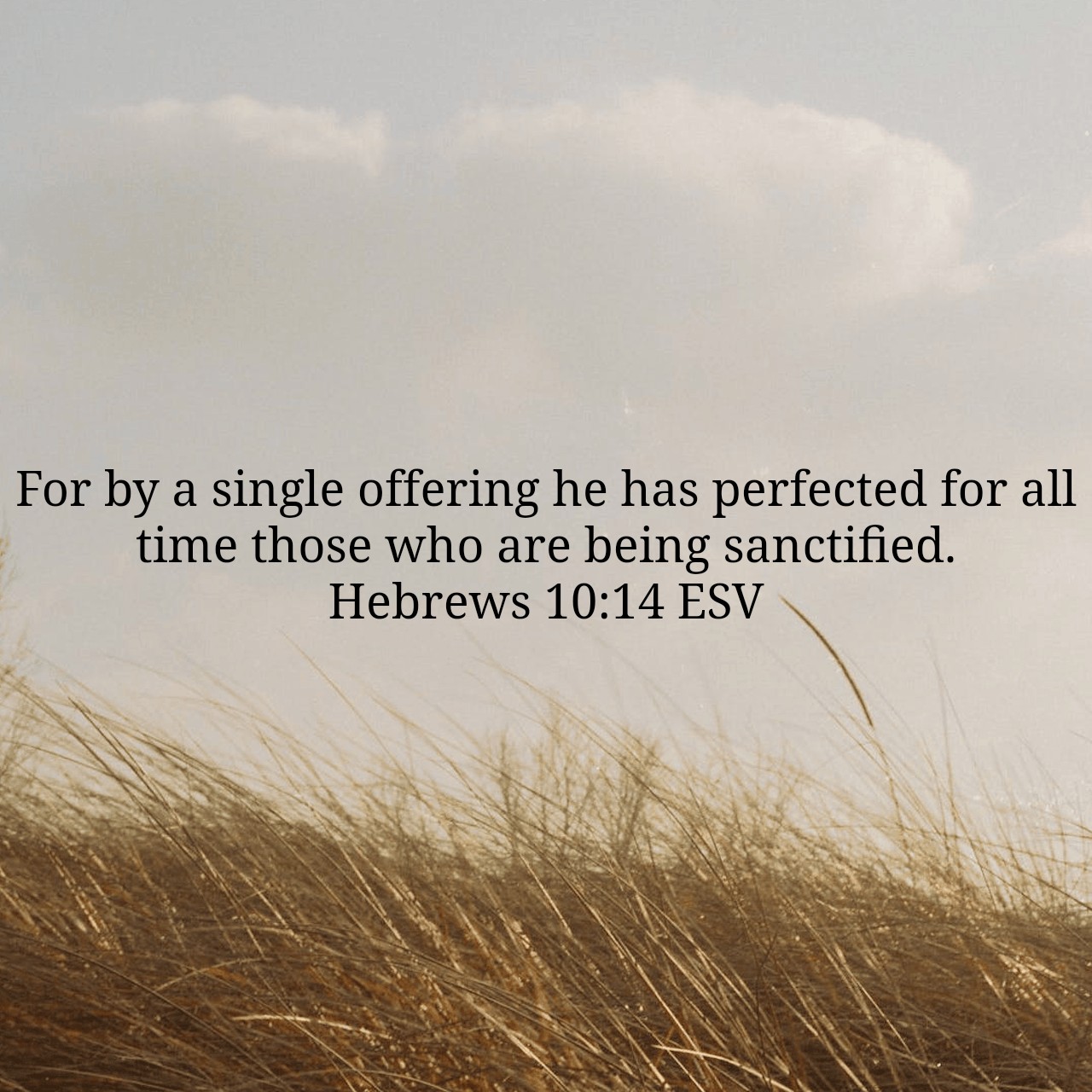 Hebrews 10:14.jpg