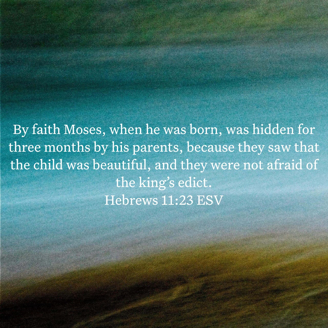 Hebrews 11:23.jpg
