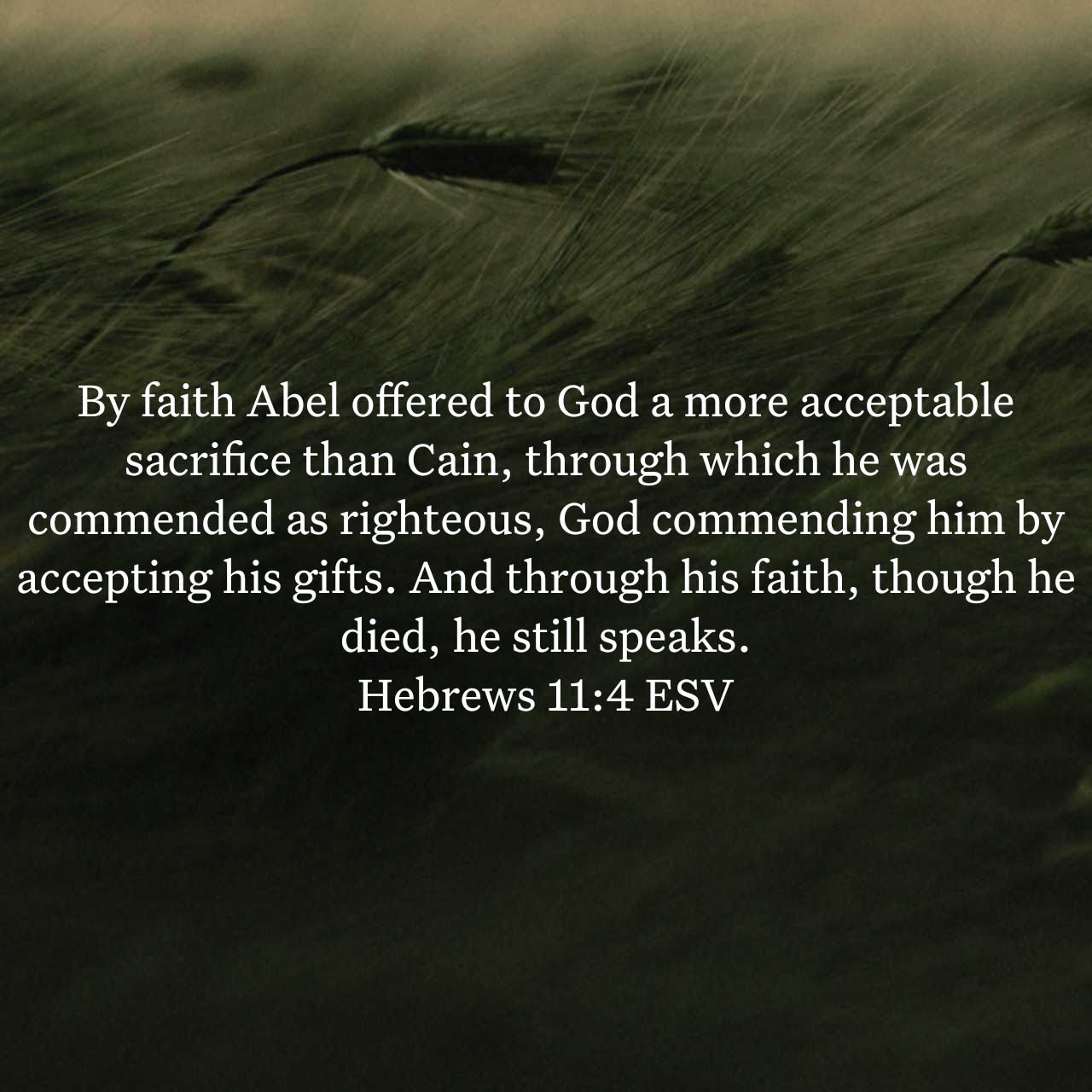 Hebrews 11:4.jpg