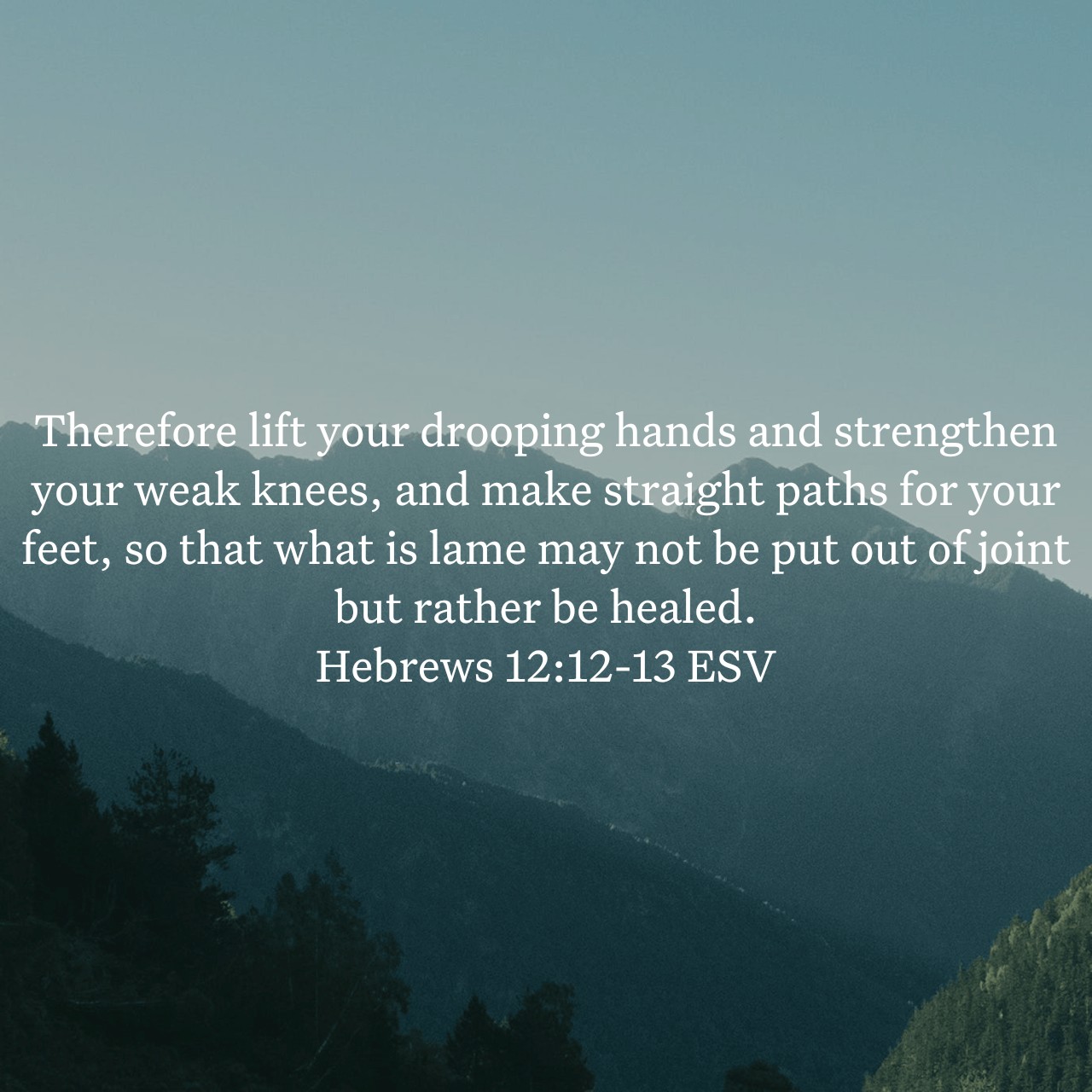 Hebrews 12:12-13.jpg