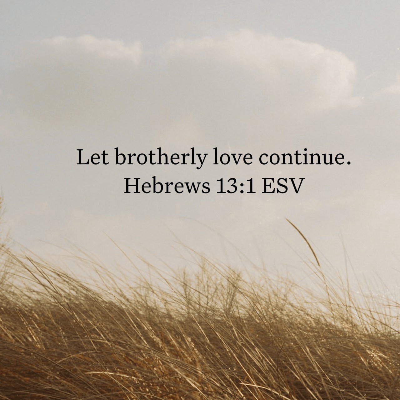 Hebrews 13:1.jpg