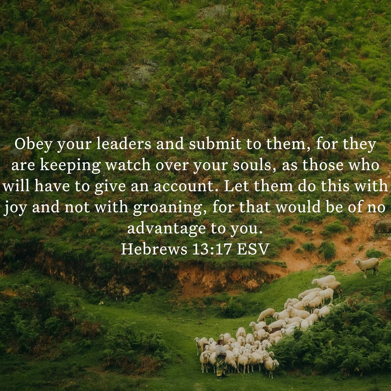 Hebrews 13:17.jpg