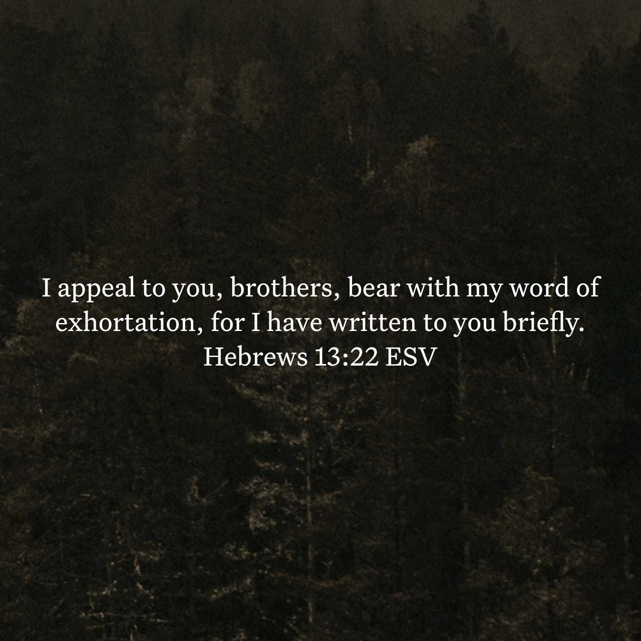 Hebrews 13:22.jpg