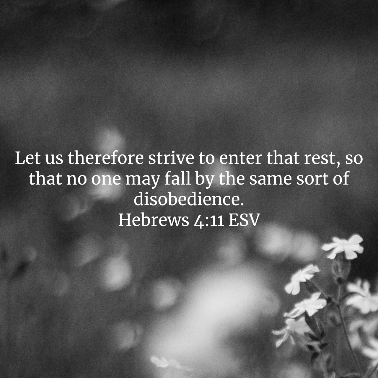 Hebrews 4:11.jpg