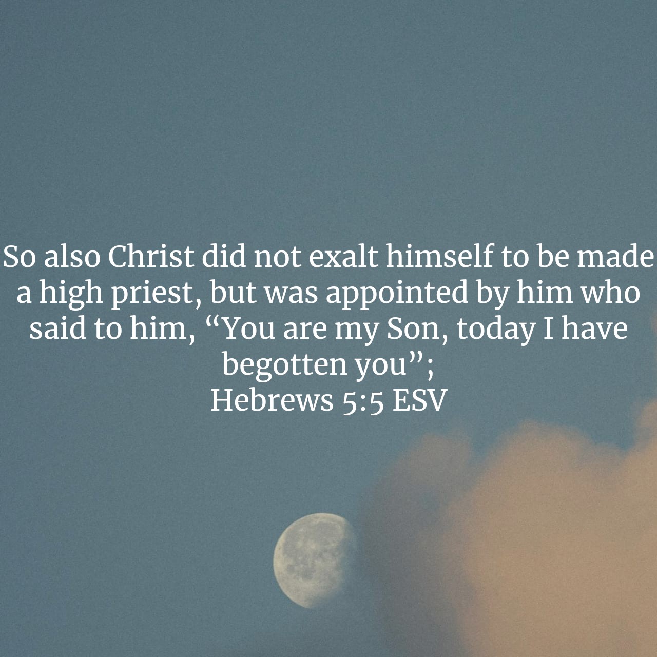 Hebrews 5:5.jpg