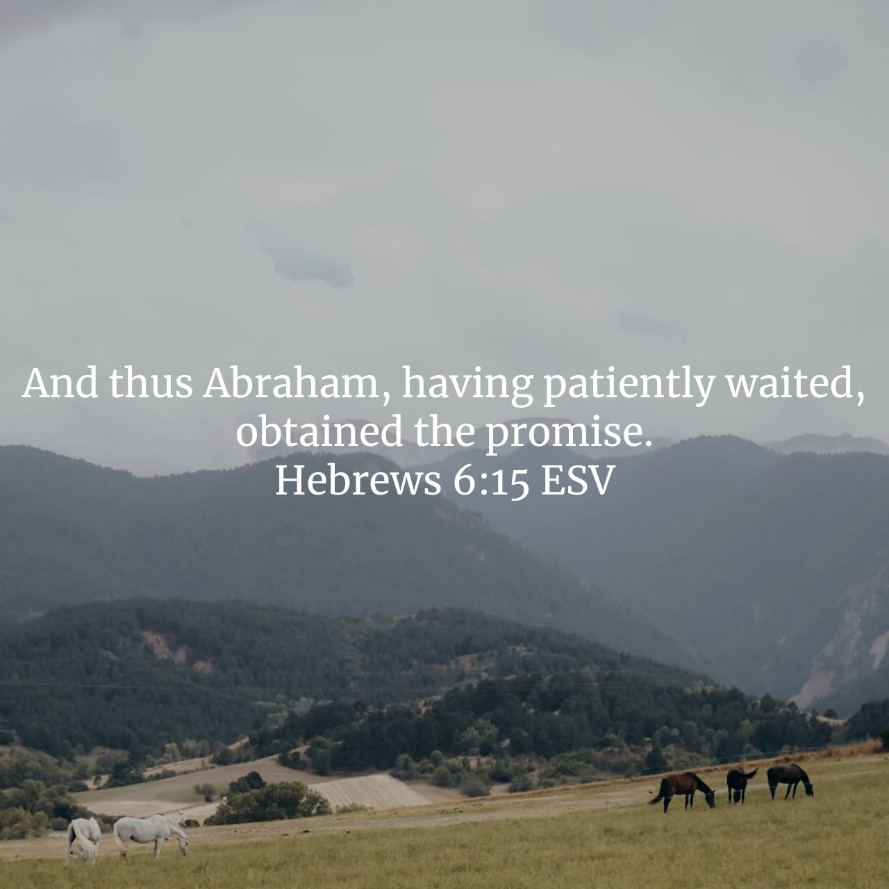 Hebrews 6:15.jpg