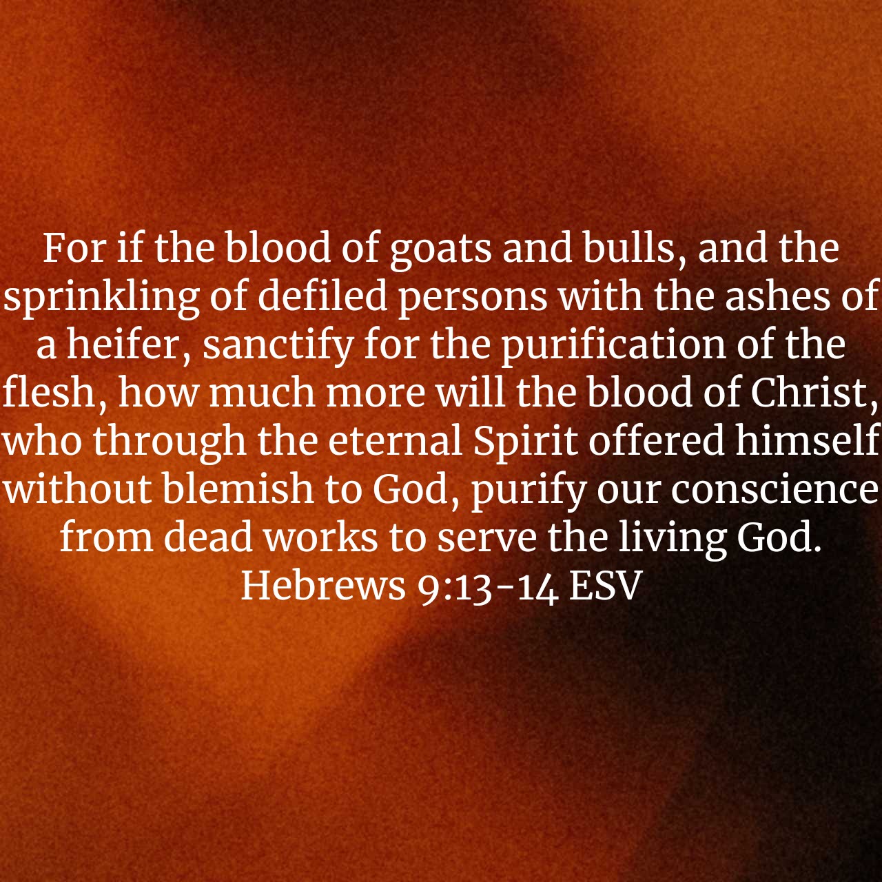 Hebrews 9:13-14.jpg